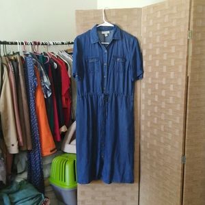 Lightweight denim button down dress